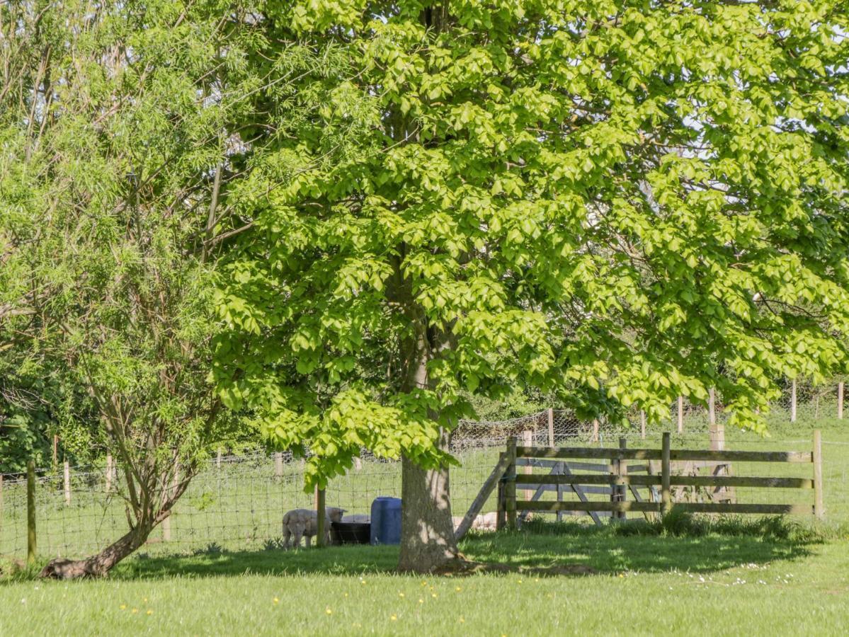 Danby Cottage Уитби Экстерьер фото